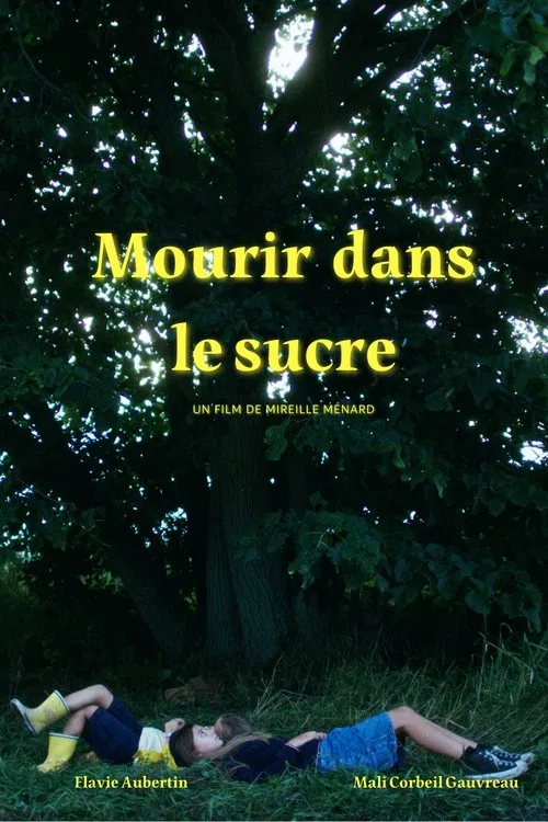 Mourir dans le sucre movie poster