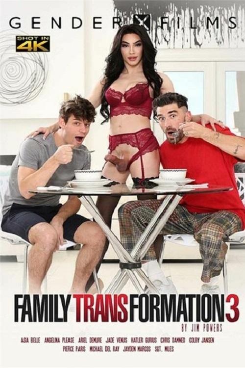 Family Transformation 3 movie poster