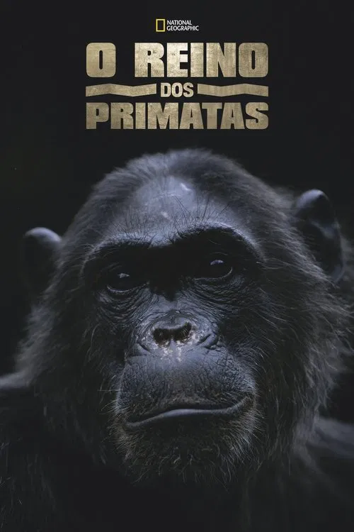 Poster do filme O Reino dos Primatas