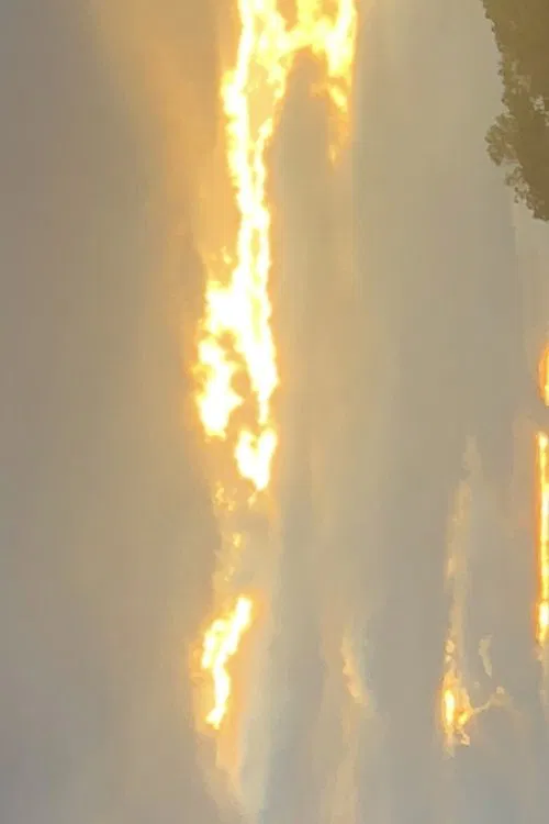 Poster do filme A Beauty In The World