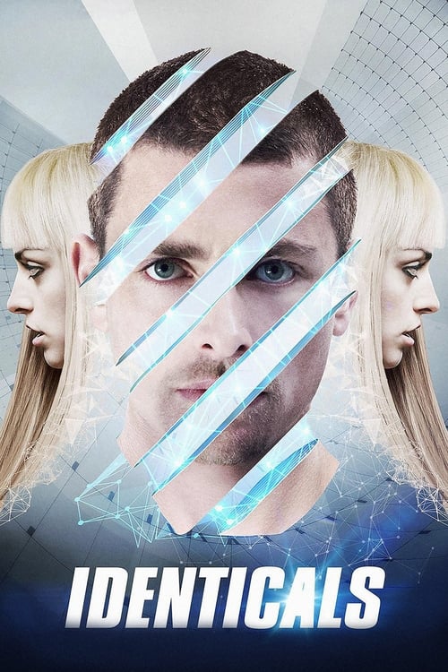 Identicals movie poster