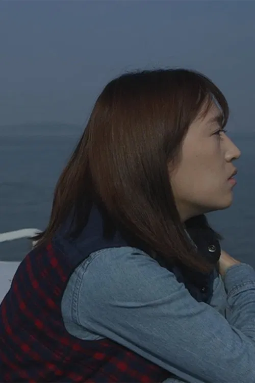 Poster do filme Surface