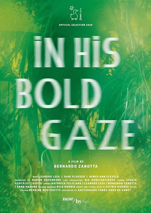 In His Bold Gaze movie poster