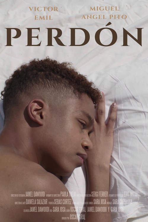PERDÓN movie poster