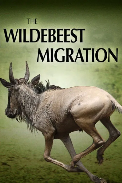 The Wildebeest Migration: Nature's Greatest Journey movie poster
