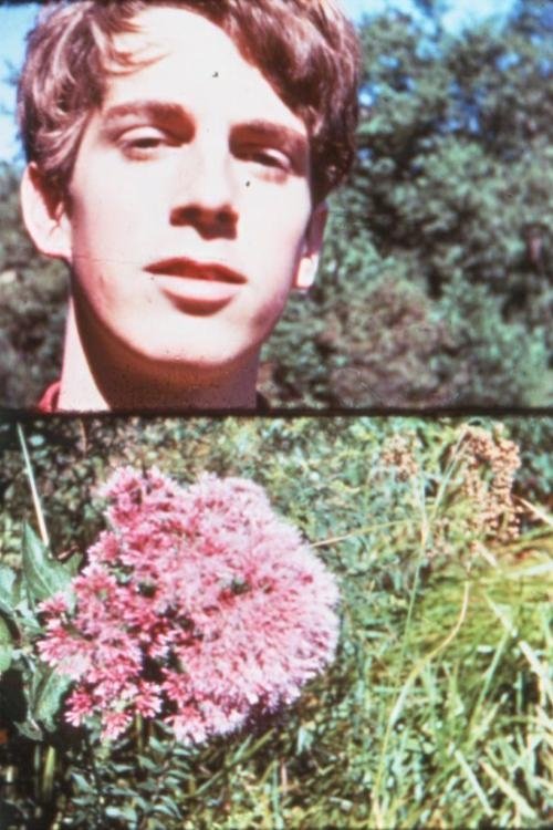 Dan Potter movie poster