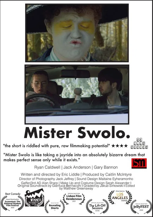 Poster do filme Mister Swolo
