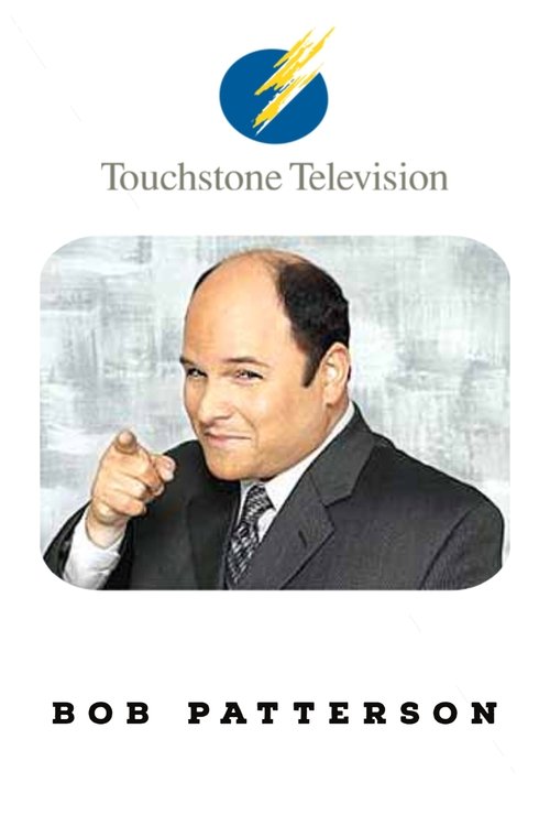 Bob Patterson tv show poster