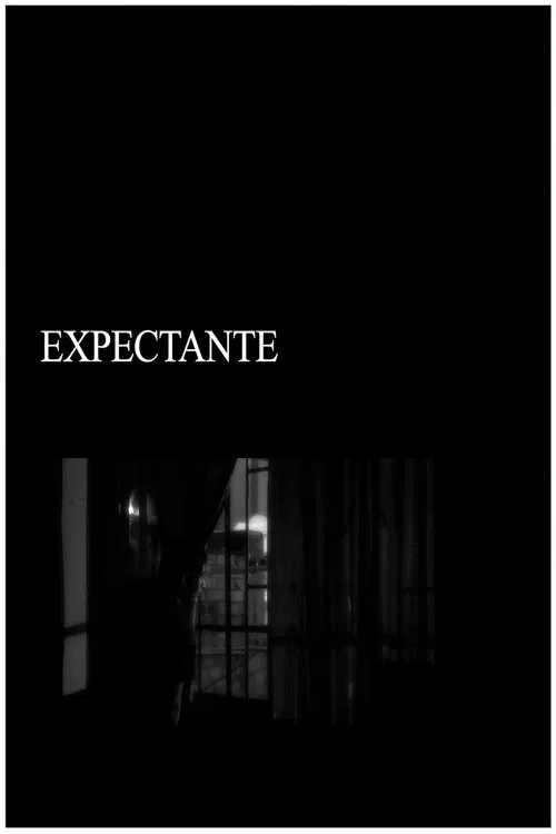 Expectant movie poster