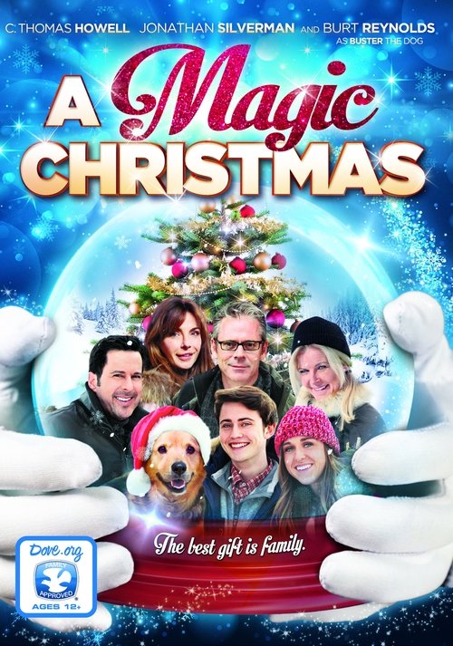 A Magic Christmas movie poster