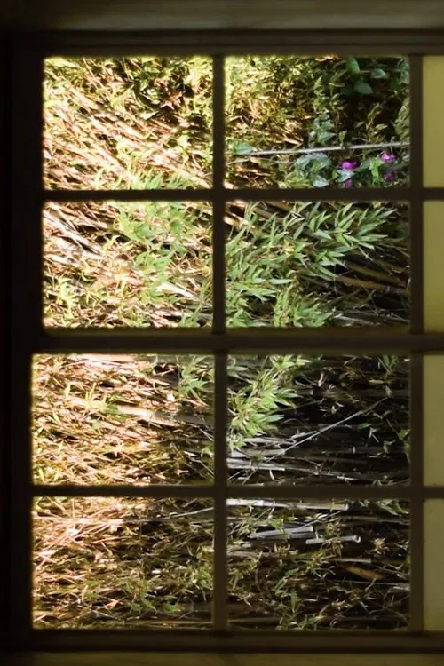 I Imagine a Text that Changes movie poster