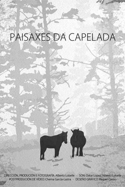 Poster do filme Paisaxes da Capelada