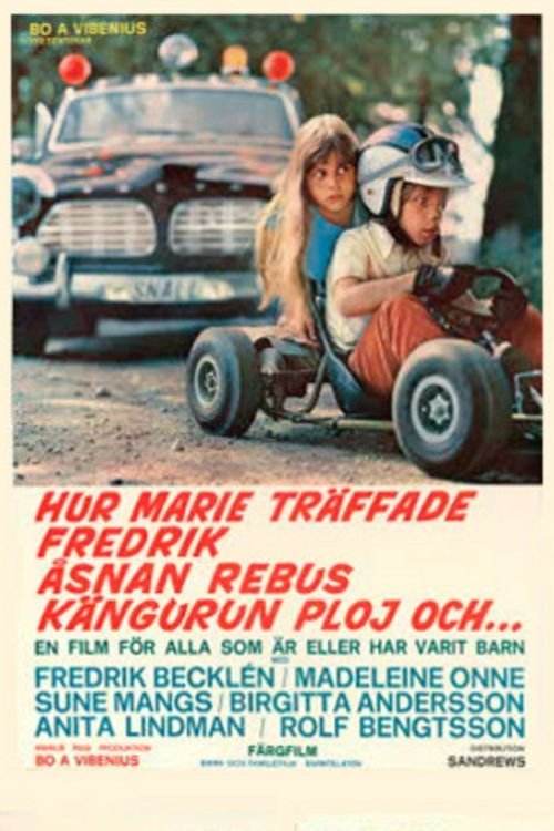 How Marie Met Fredrik movie poster