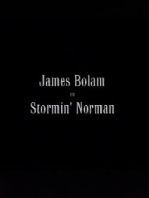 Stormin' Norman movie poster