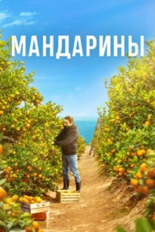 Mandarins tv show poster