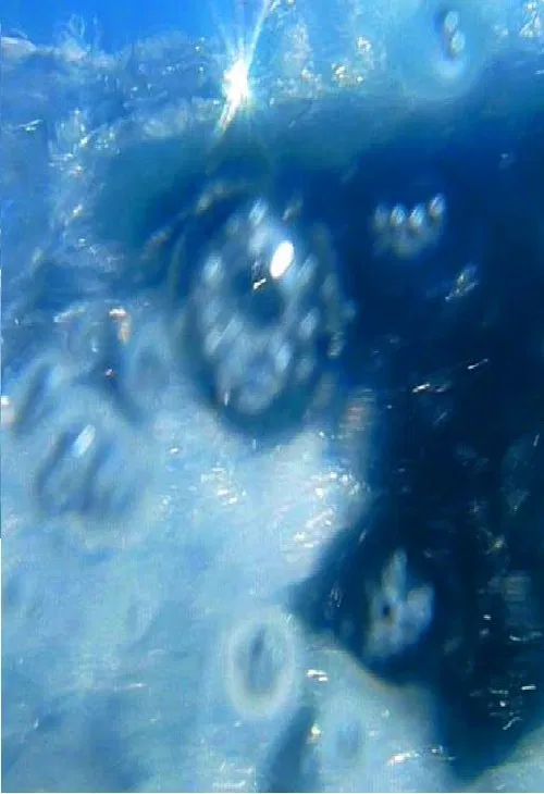 Poster do filme A fleur d’eau…
