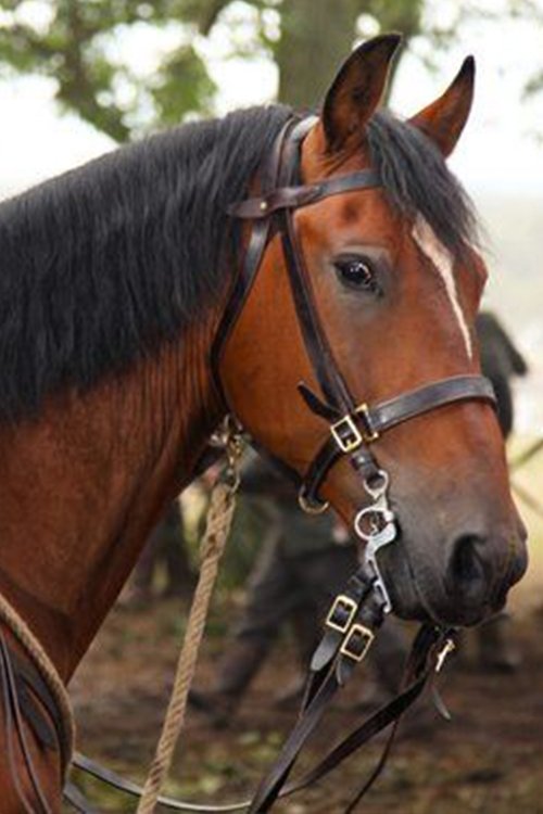 Finder's Key profile picture