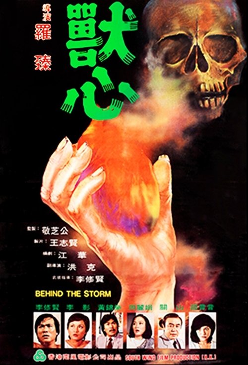 Behind the Storm movie poster
