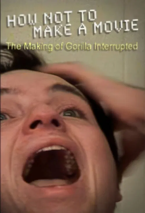 How Not to Make a Movie movie poster