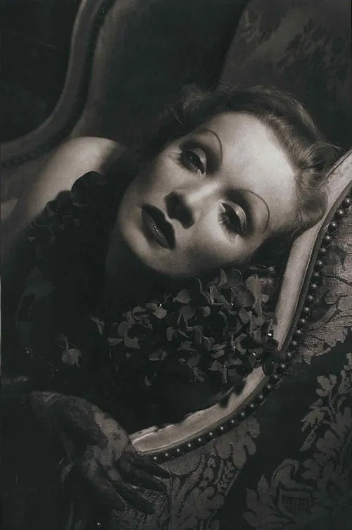Poster do filme Marlene Dietrich: Shadows and Light