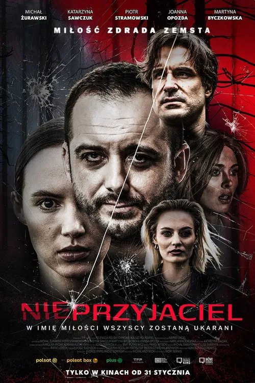 Poster do filme Nieprzyjaciel