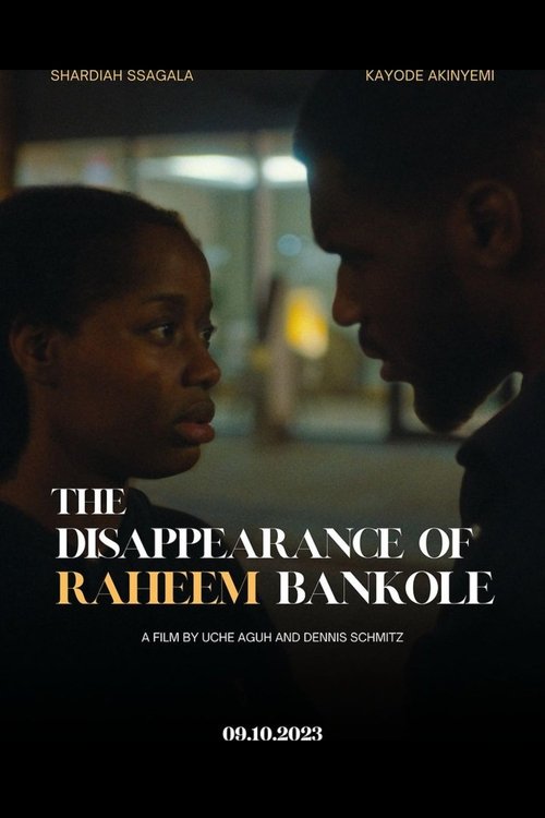 Poster do filme The Disappearance of Raheem Bankole