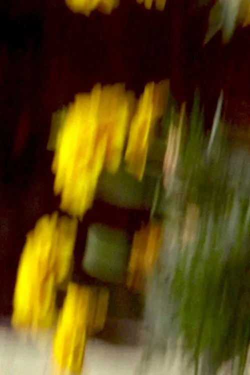 Garden Variety movie poster