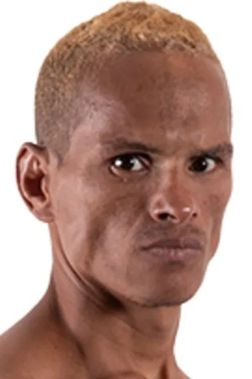 José Alexandre profile picture