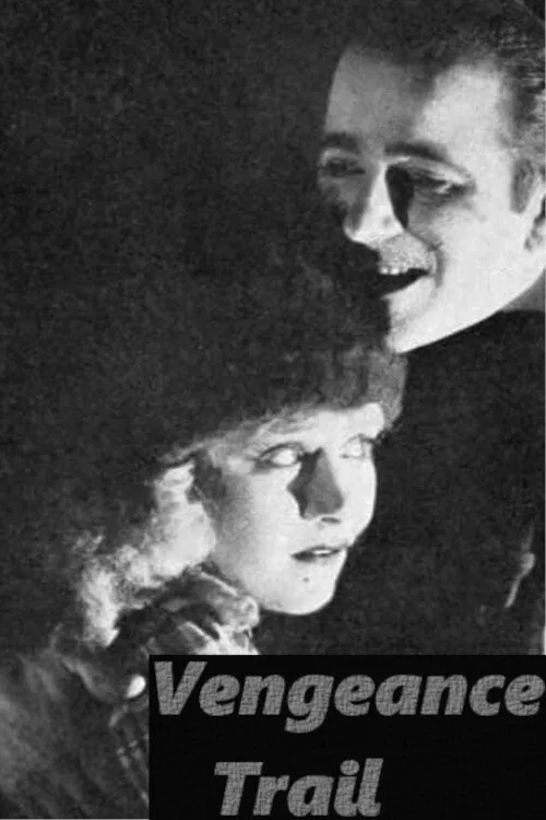 The Vengeance Trail movie poster