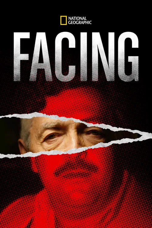 Facing tv show poster