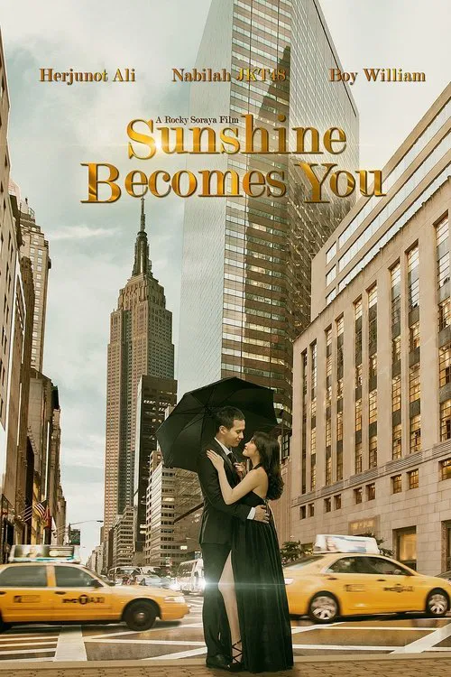 Sunshine Becomes You movie poster