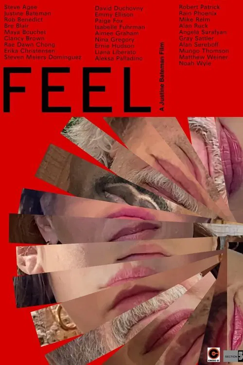 FEEL movie poster