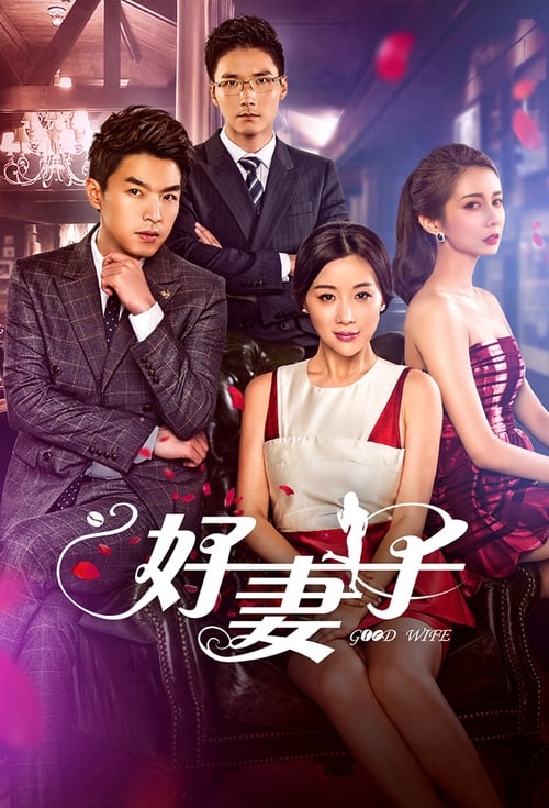 Good Wife tv show poster