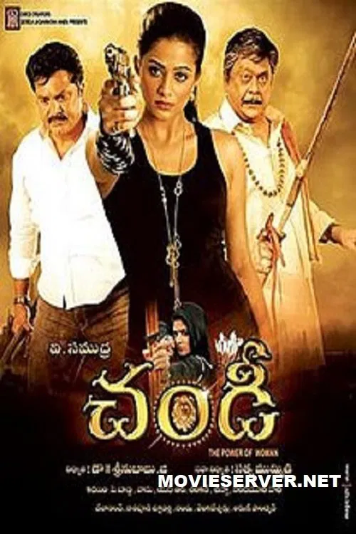 Chandi: The Power of Woman movie poster