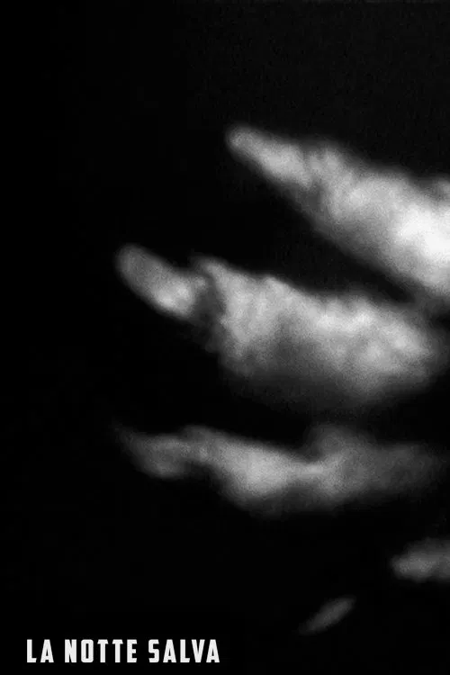 Poster do filme The Saved Night