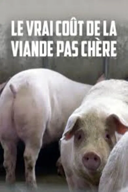 Le vrai coût de la viande pas chère movie poster