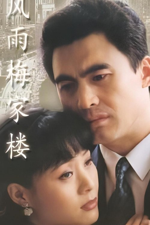 风雨梅家楼 tv show poster