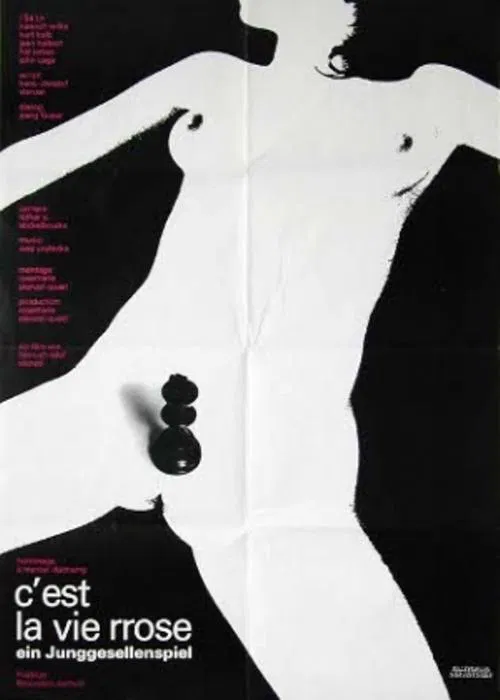 Poster do filme A Rose: That's What Life Is All About