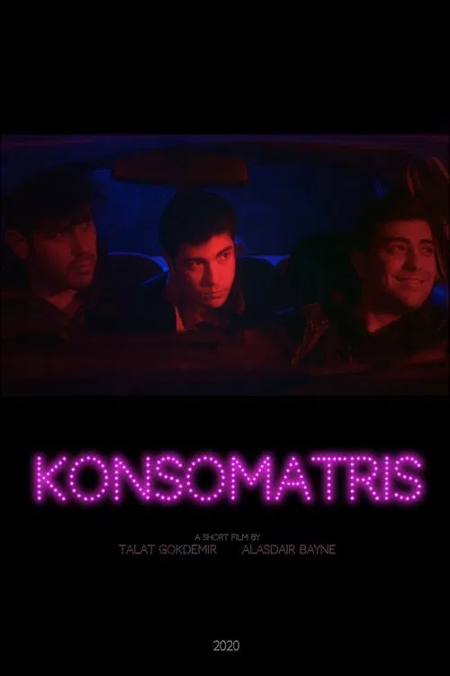 Hostess movie poster