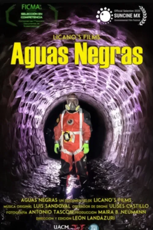Aguas Negras movie poster