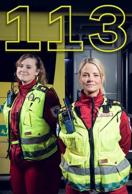 113 tv show poster