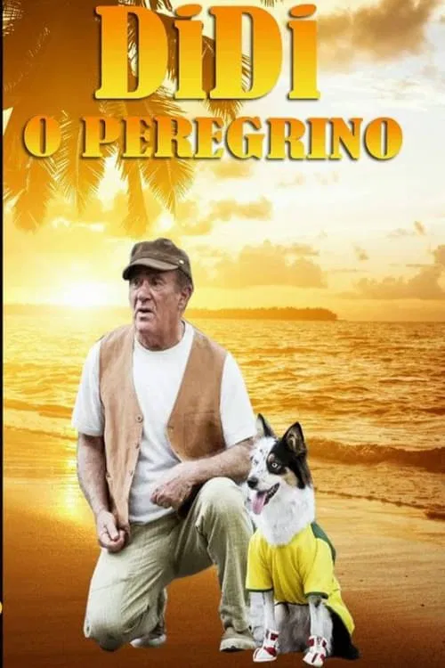 Didi, o Peregrino movie poster