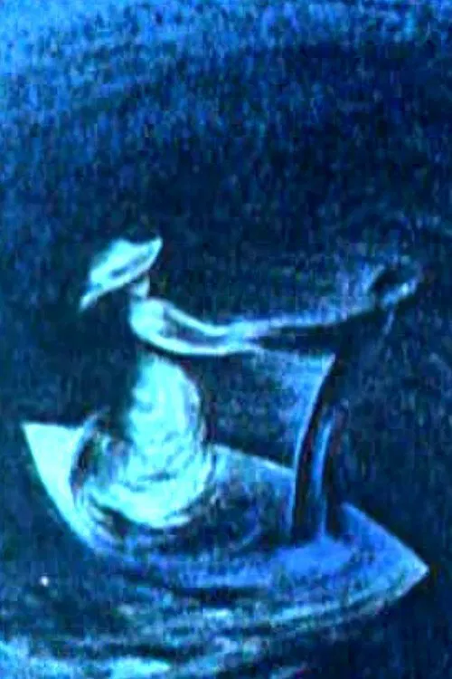 Poster do filme On the Beautiful Blue Danube