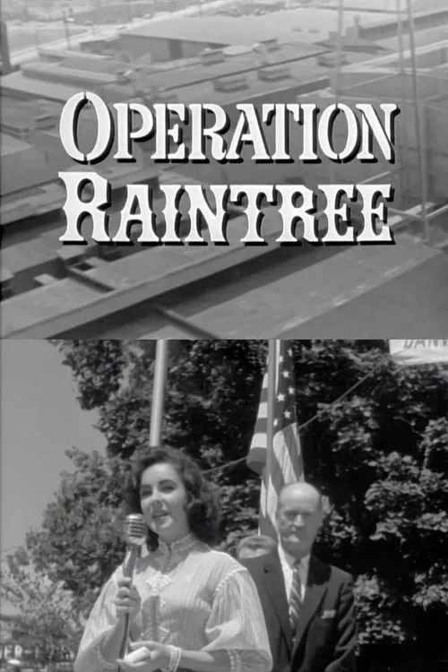 Poster do filme Operation Raintree