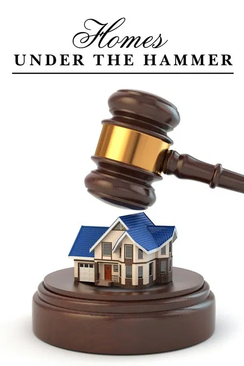 Poster da série Homes Under the Hammer