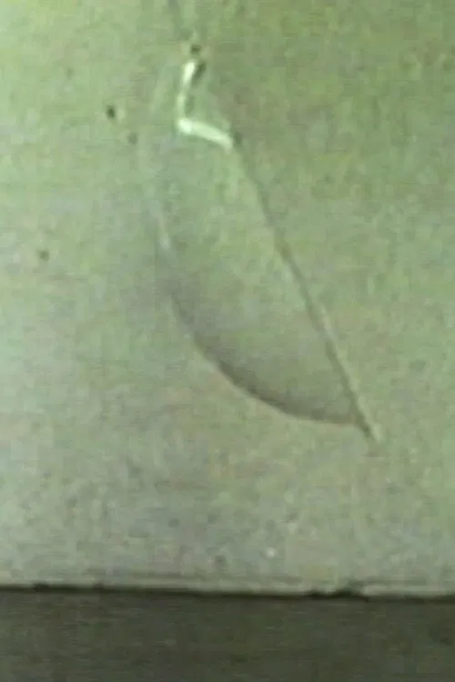 Städel movie poster