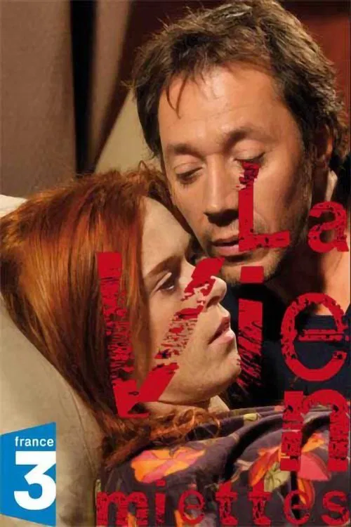 La Vie en miettes movie poster