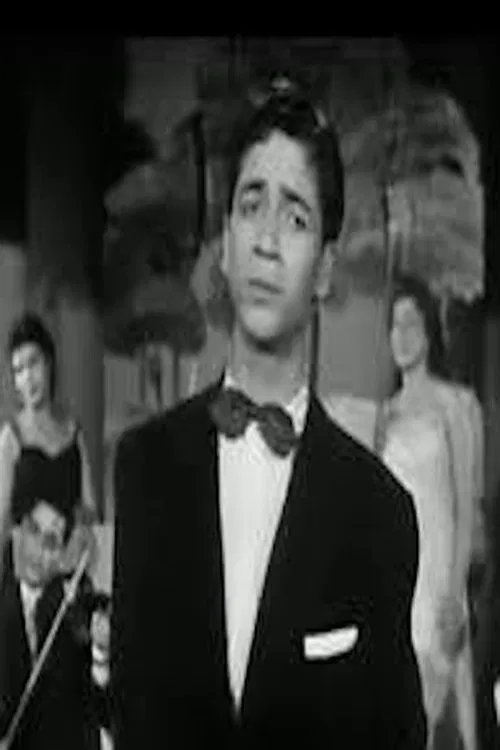 Shokoko El Soghayar profile picture