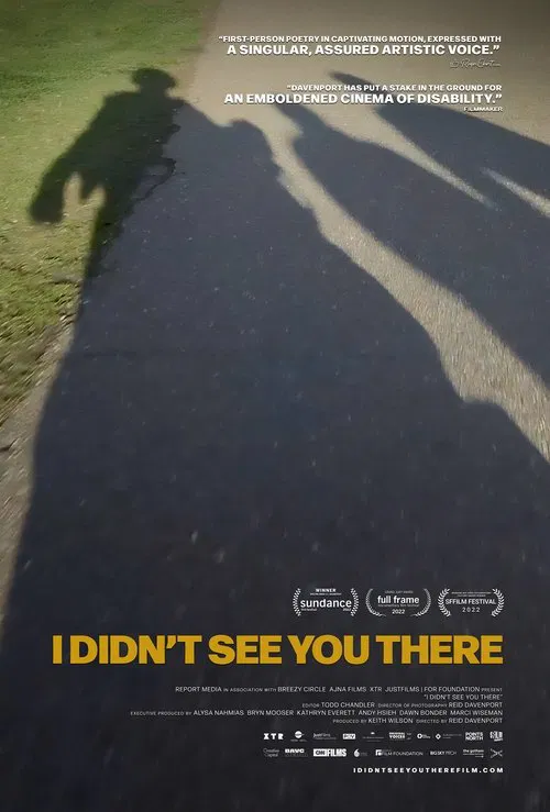 I Didn't See You There movie poster