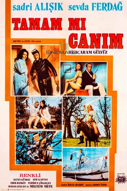 Tamam mı Canım movie poster
